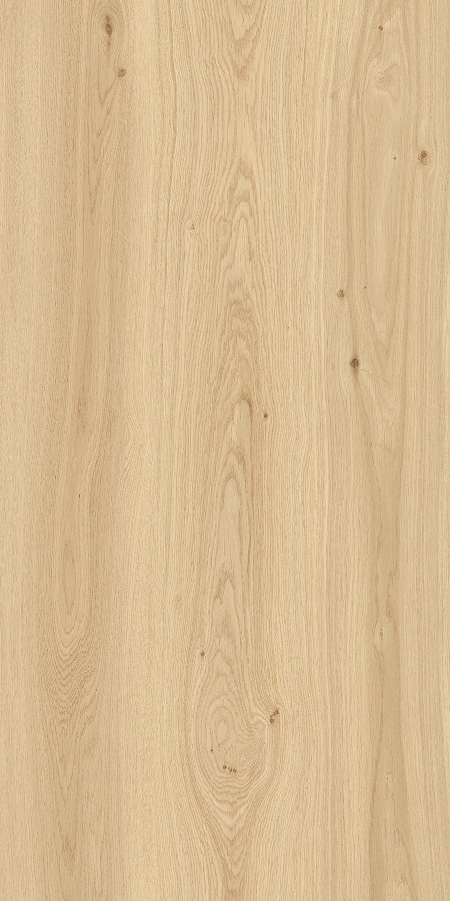 Paglierino Rovere Rekt 60x120